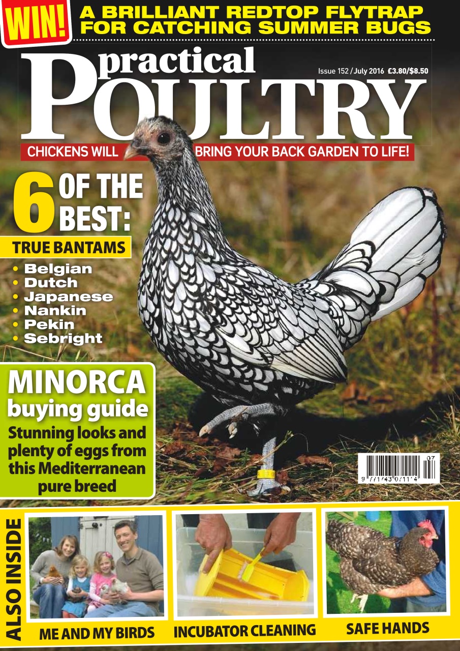 Practical Poultry Preview Pages