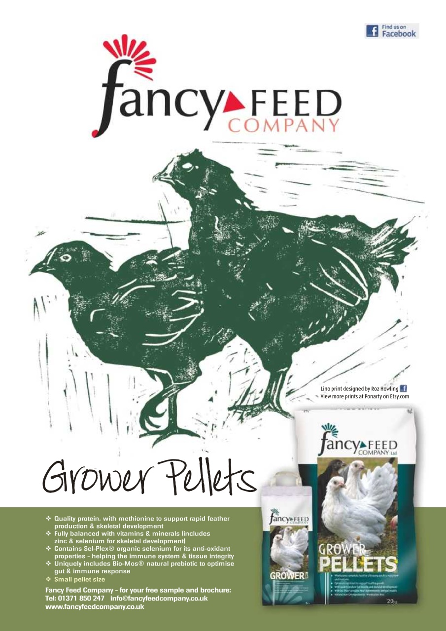 Practical Poultry Preview Pages