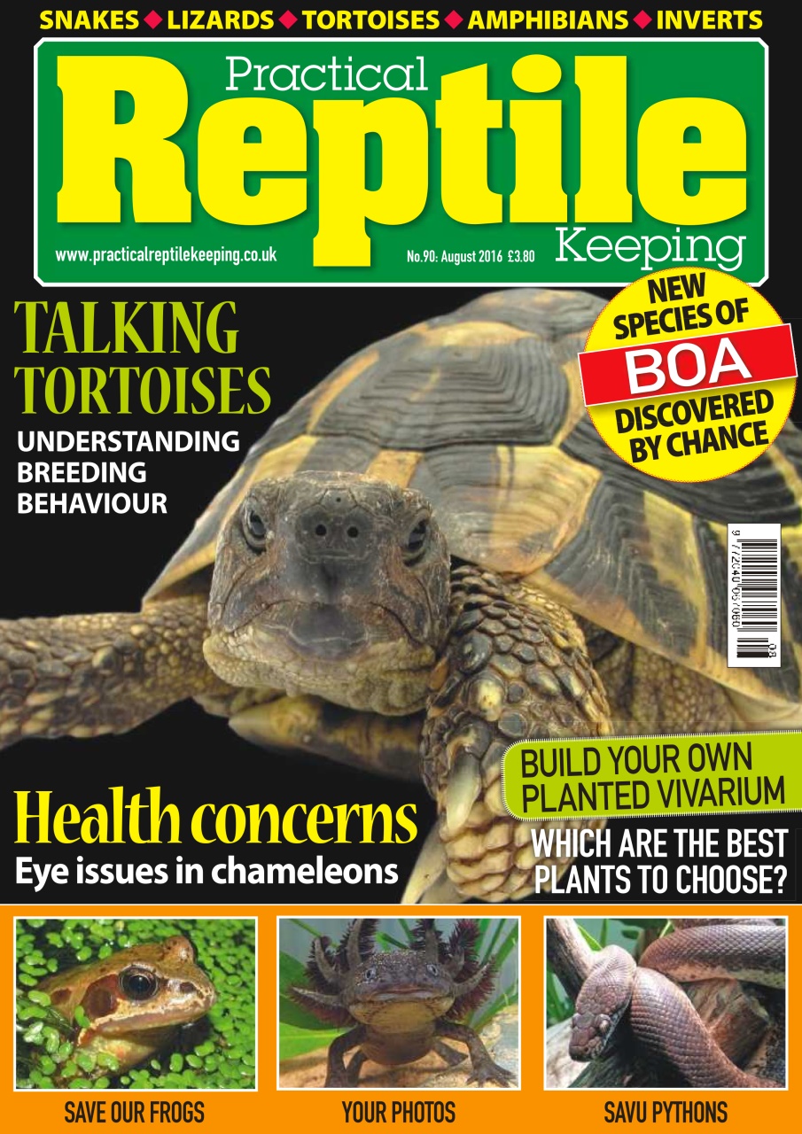 Practical Reptile Keeping Preview Pages