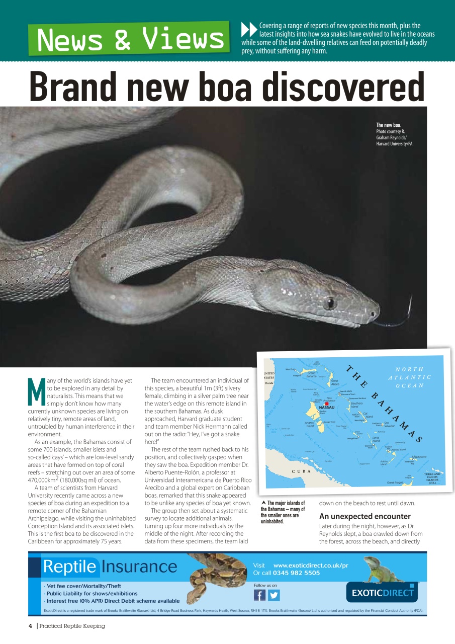 Practical Reptile Keeping Preview Pages