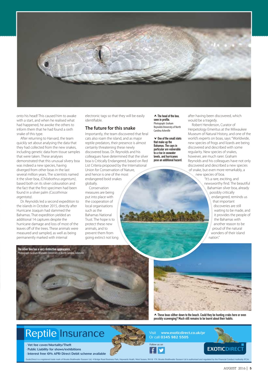 Practical Reptile Keeping Preview Pages