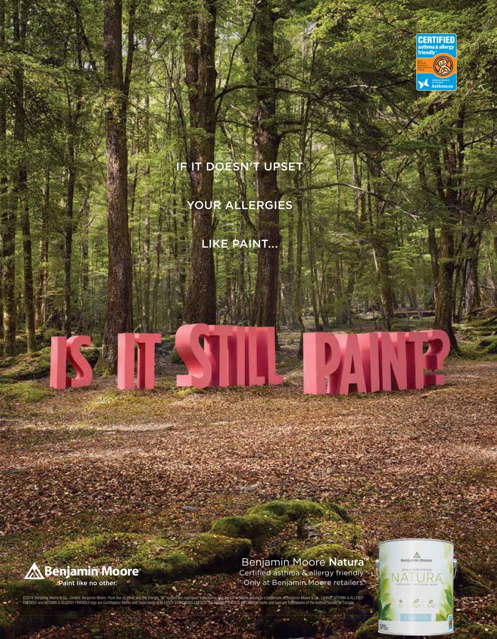 SABMag Preview Pages