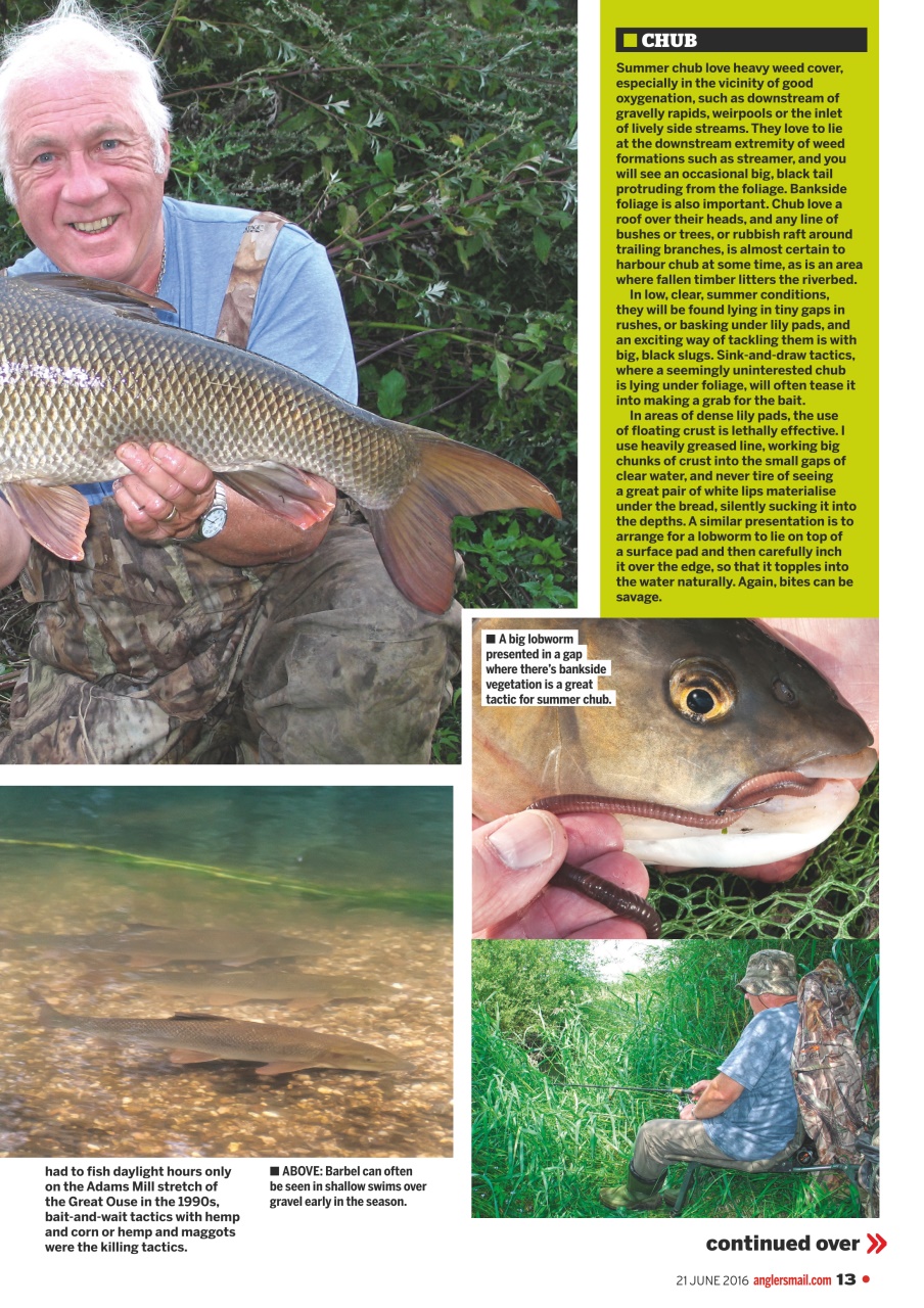 Anglers Mail Preview Pages