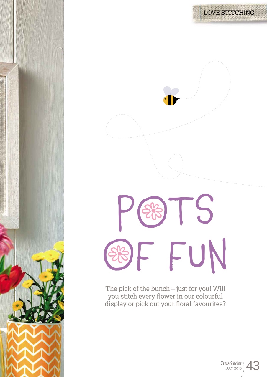 CrossStitcher Preview Pages