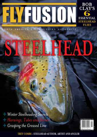 Fly Fusion issue Volume 7 Issue 4