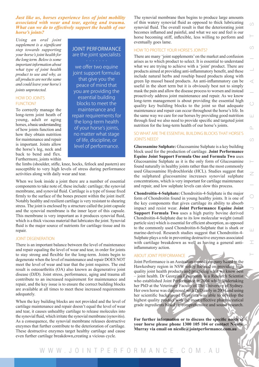 The Horse Magazine Preview Pages