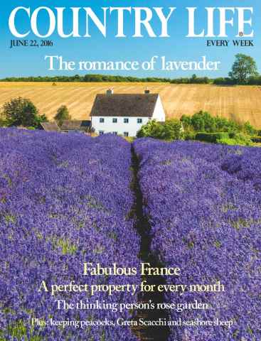 Country Life issue 22nd June 2016