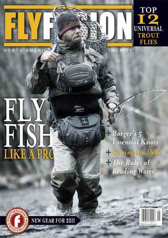 Fly Fusion issue Volume 8 Issue 1