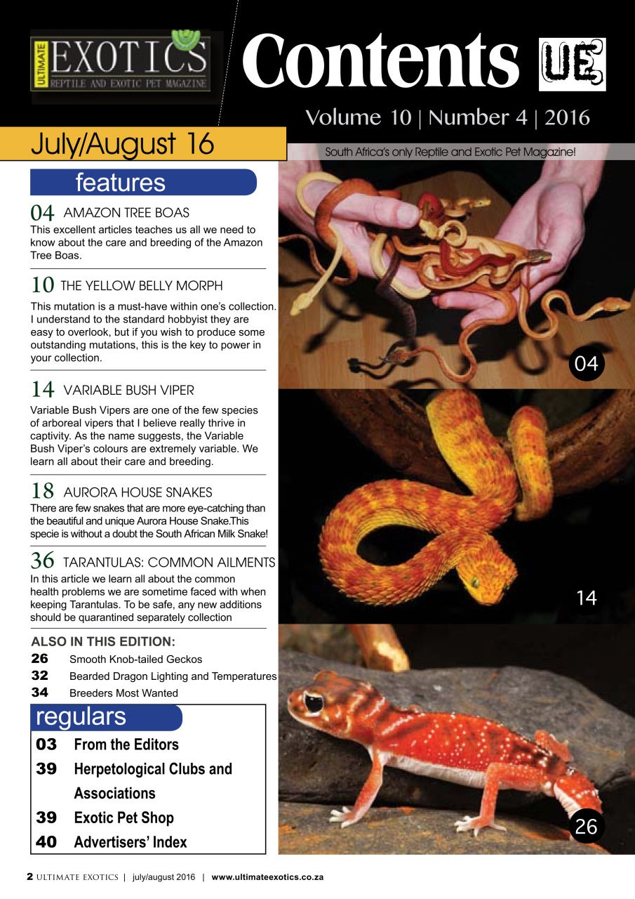 Ultimate Exotics Preview Pages