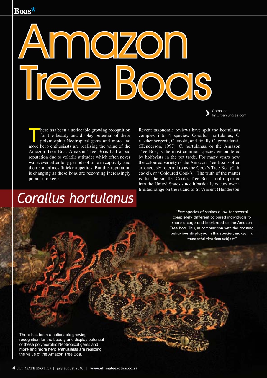 Ultimate Exotics Preview Pages