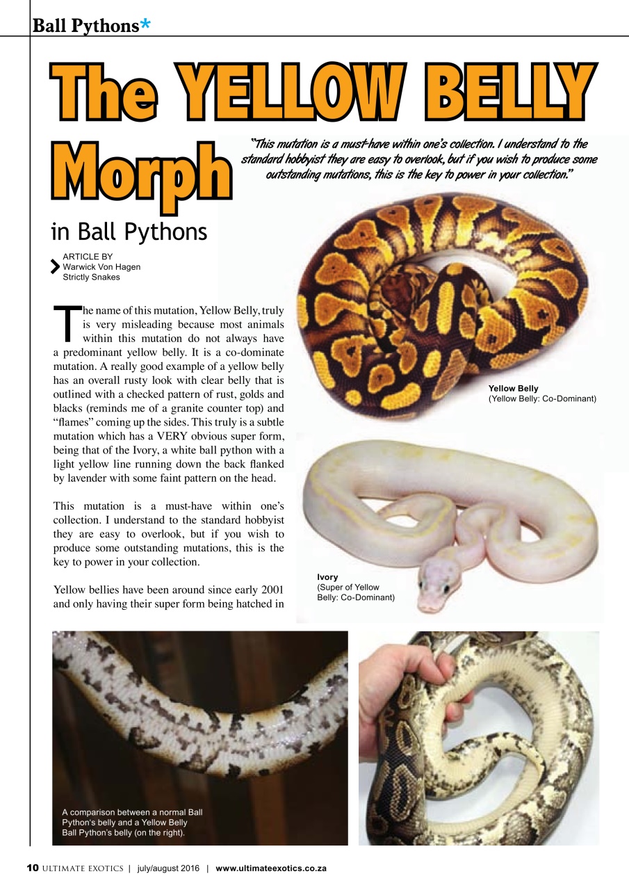 Ultimate Exotics Preview Pages