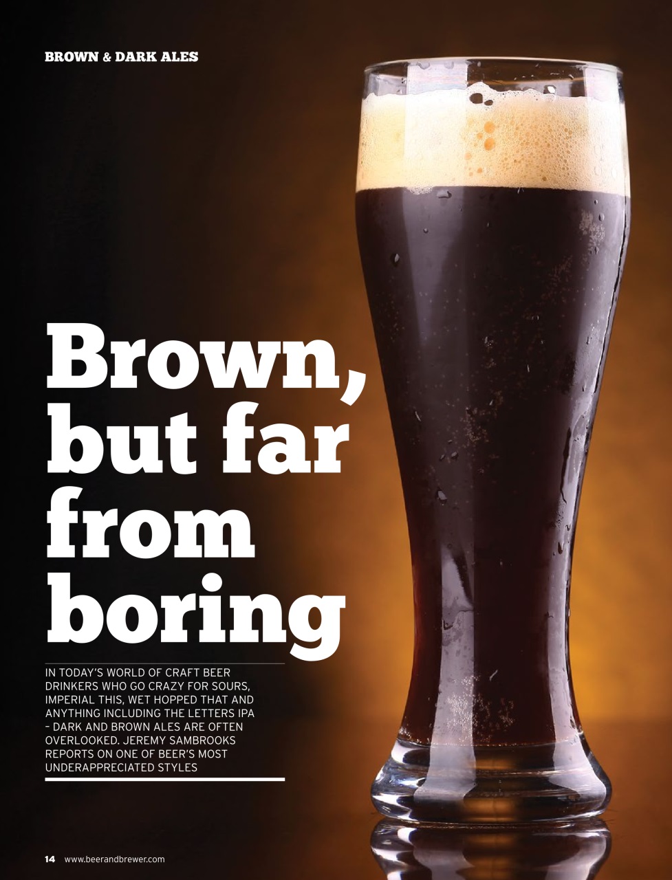 Beer and Brewer Preview Pages