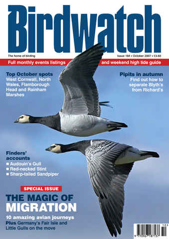 Birdwatch Magazine issue October 2007