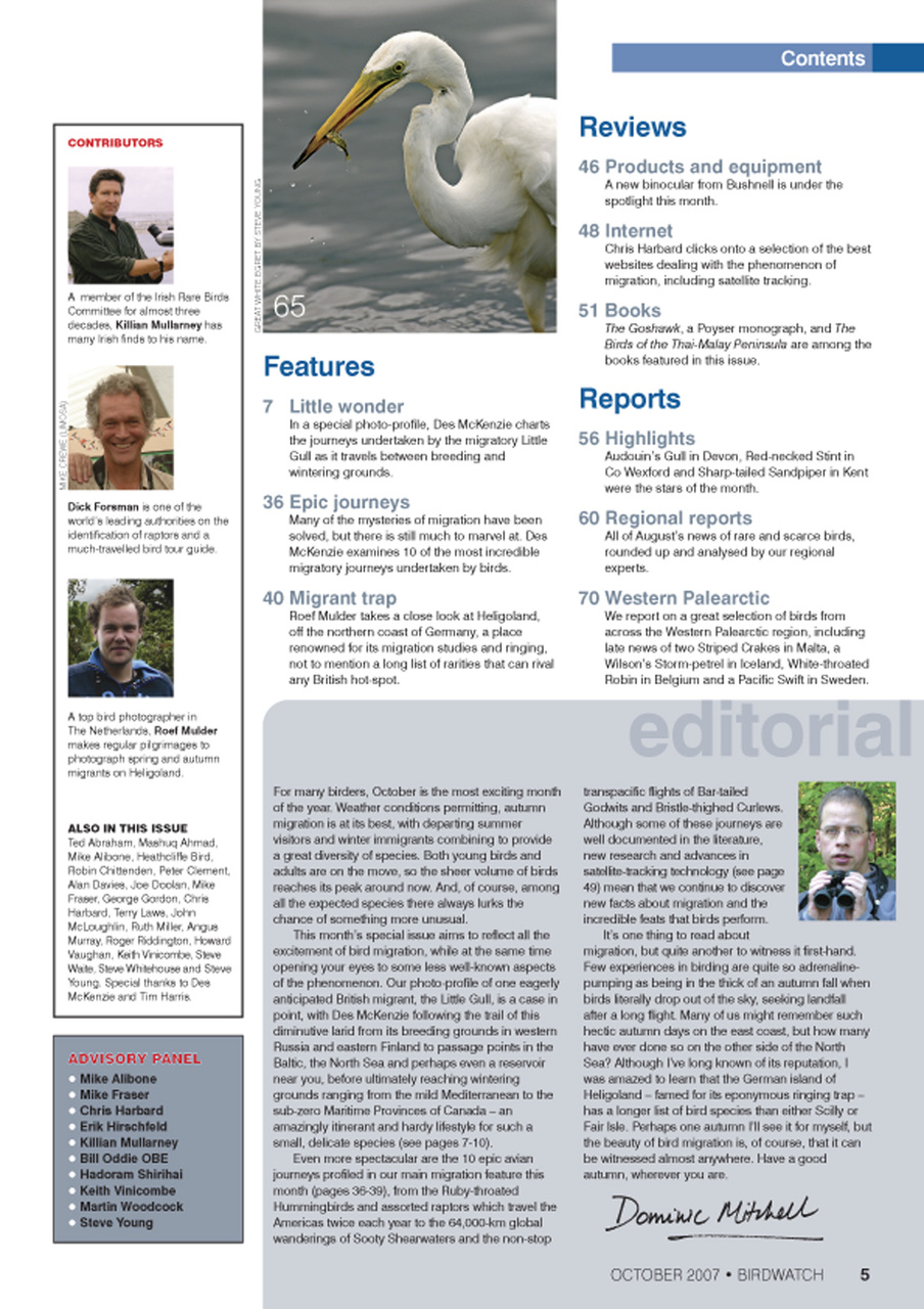 Birdwatch Magazine Preview Pages