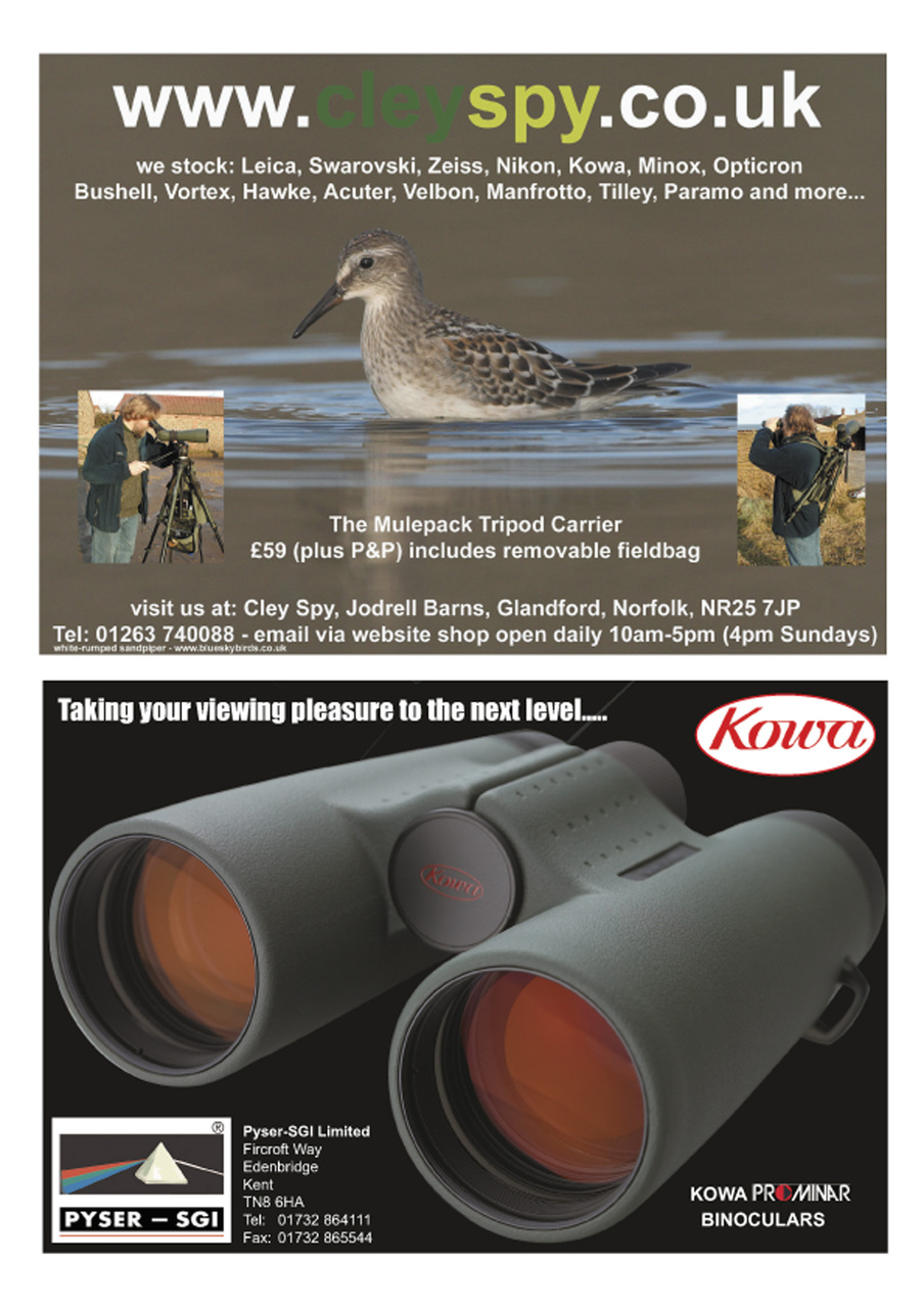 Birdwatch Magazine Preview Pages