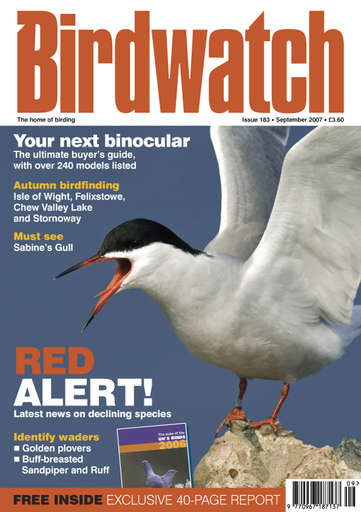 Birdwatch Magazine issue 