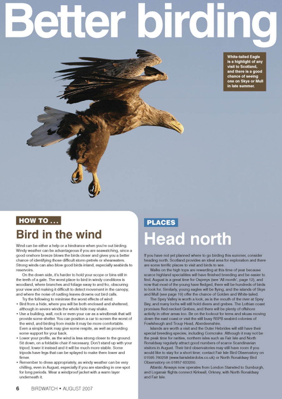 Birdwatch Magazine Preview Pages