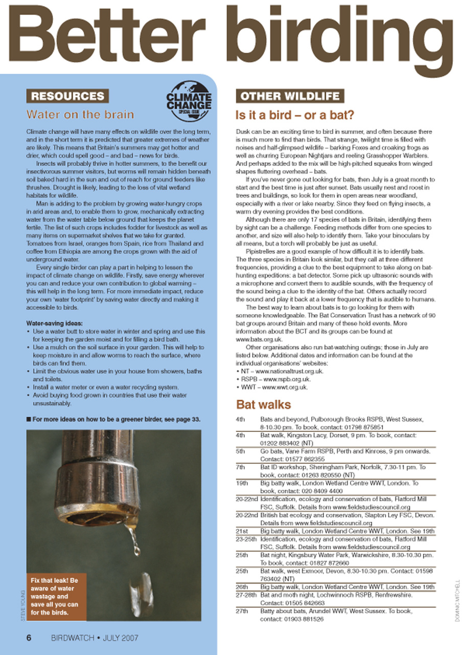 Birdwatch Magazine Preview Pages