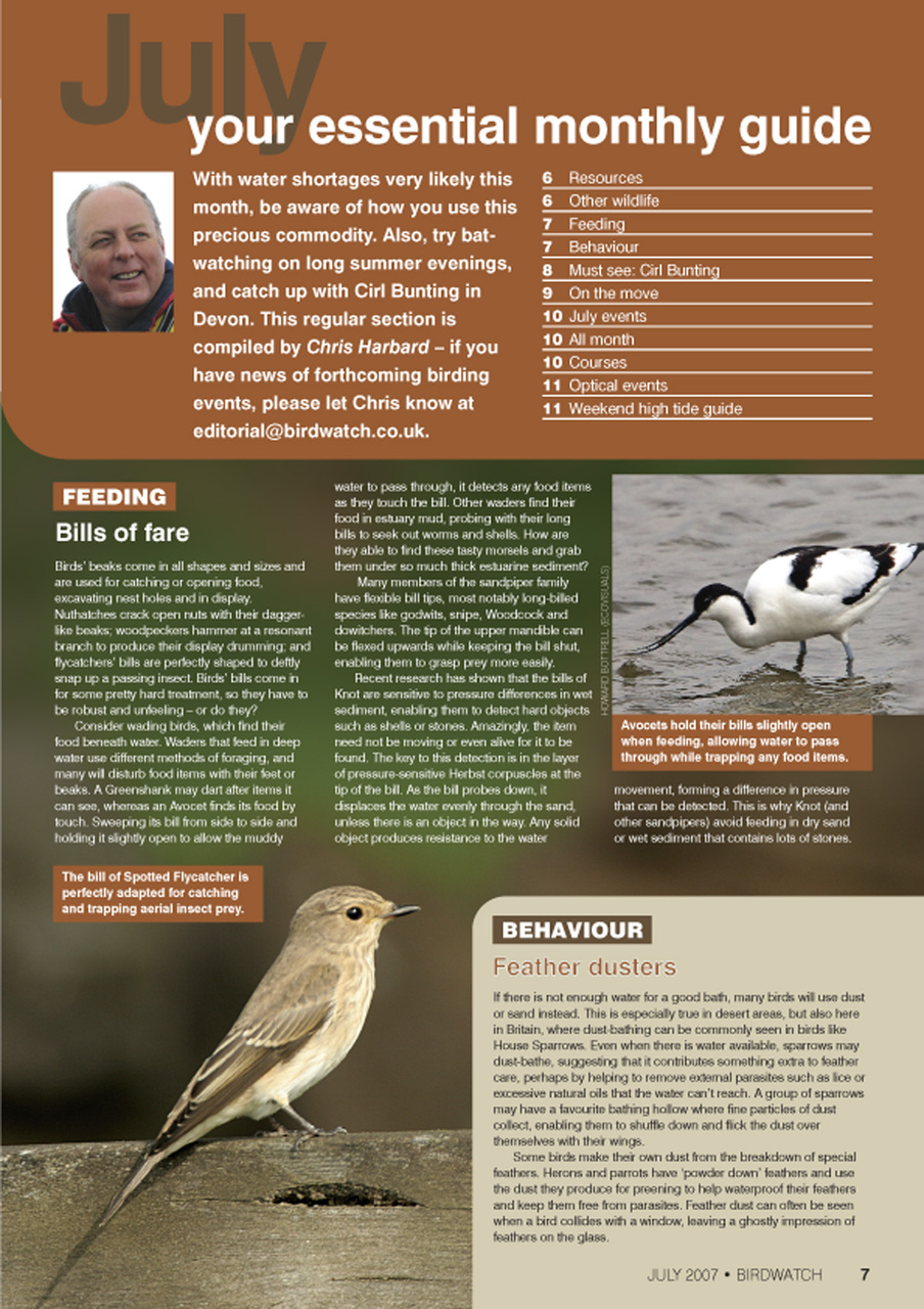 Birdwatch Magazine Preview Pages