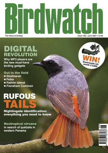Birdwatch Magazine issue 
