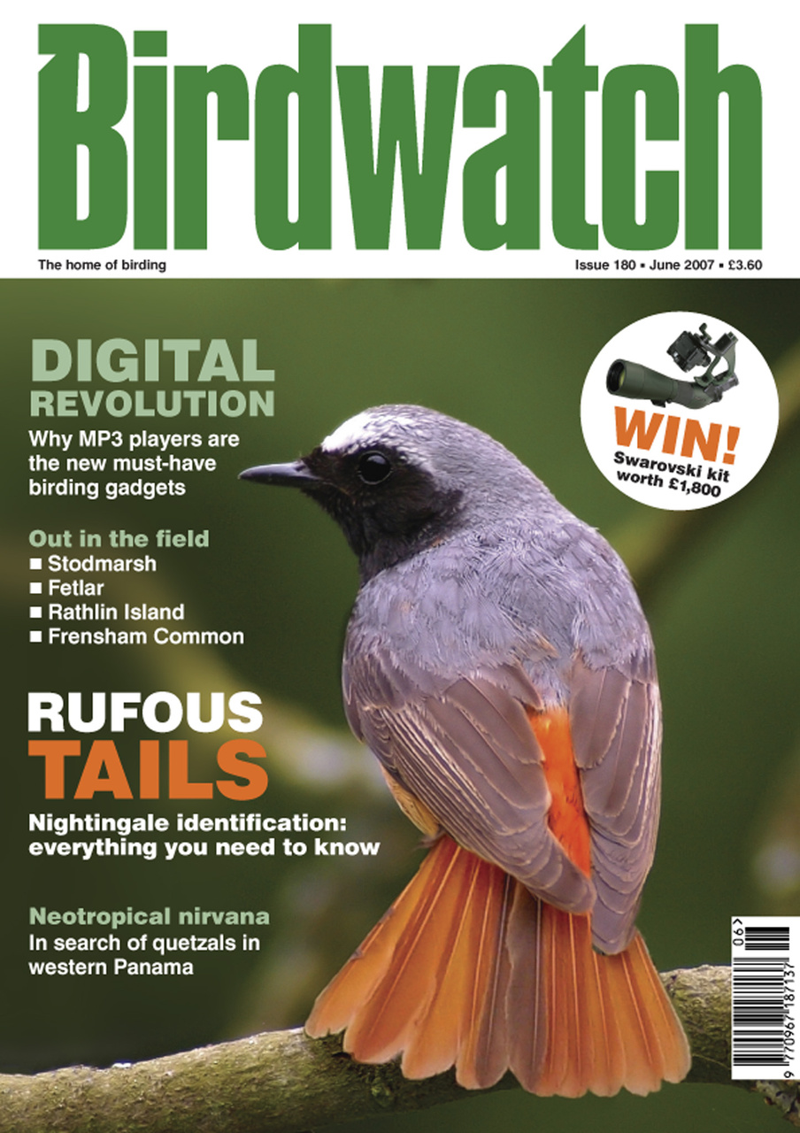 Birdwatch Magazine Preview Pages
