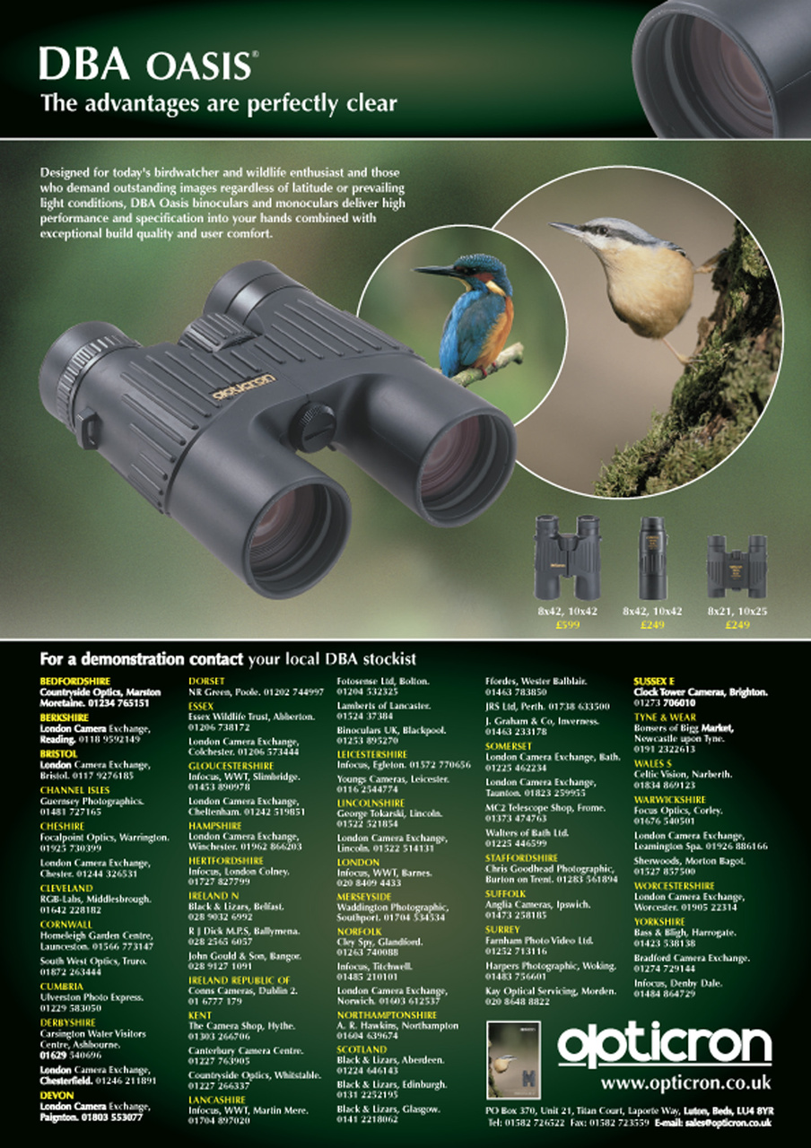 Birdwatch Magazine Preview Pages