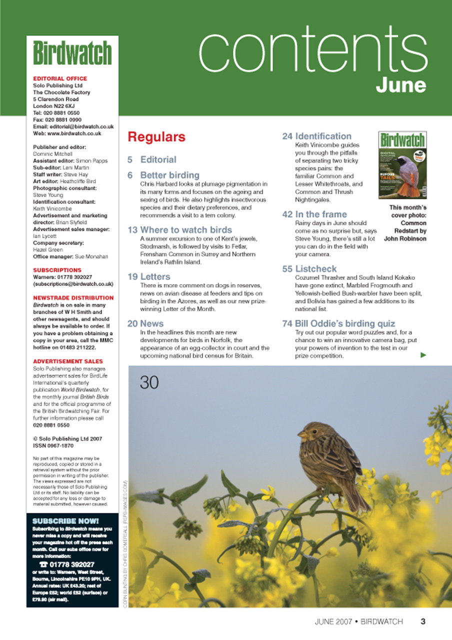 Birdwatch Magazine Preview Pages