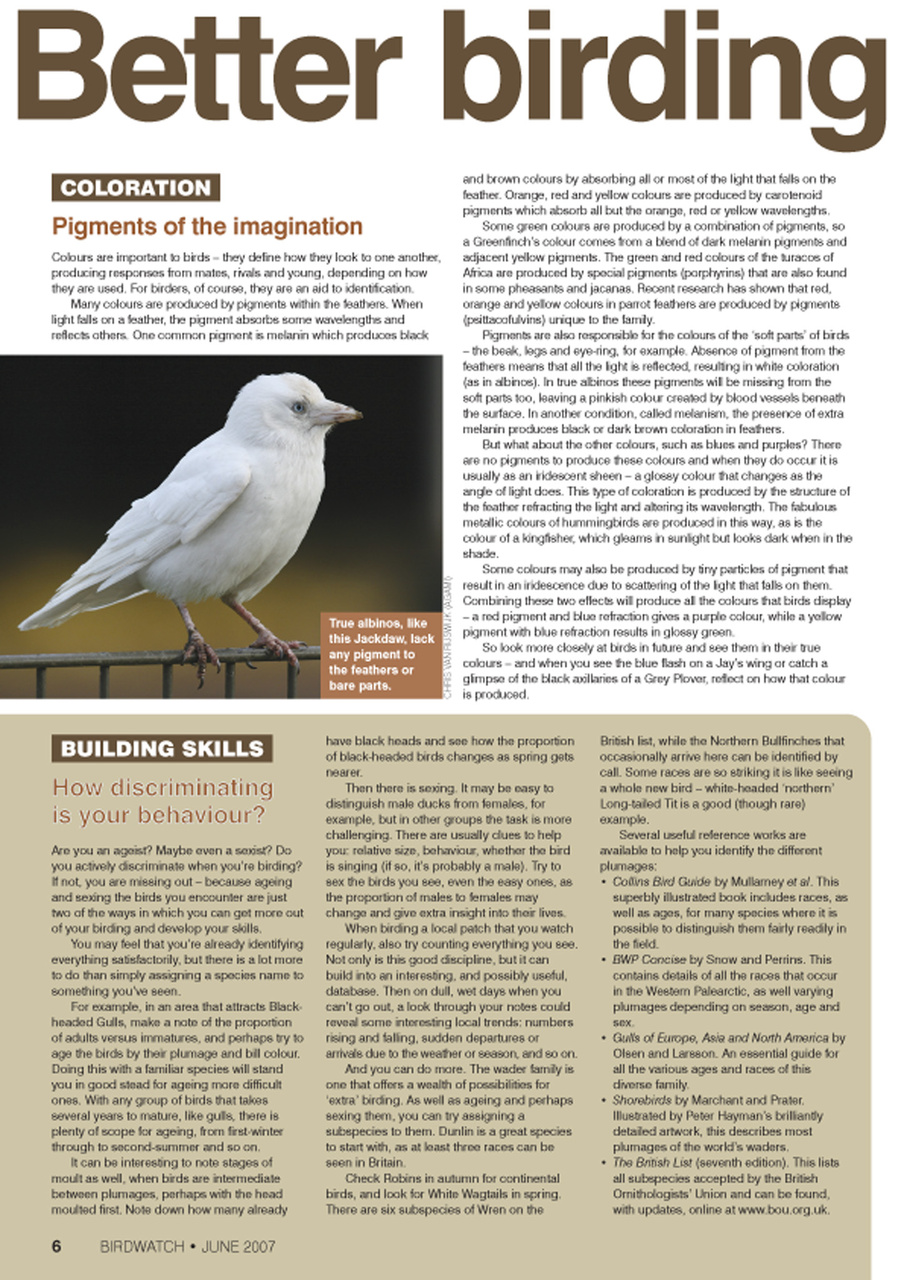 Birdwatch Magazine Preview Pages