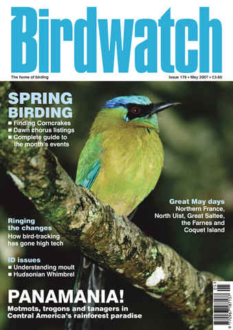Birdwatch Magazine issue May 2007