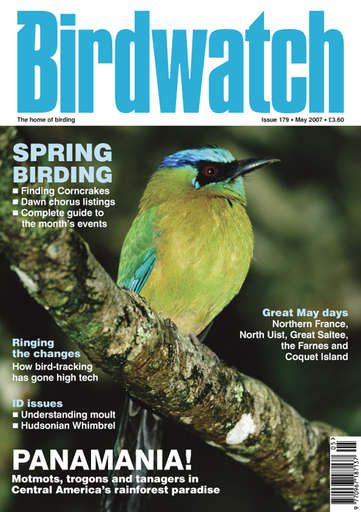 Birdwatch Magazine issue 
