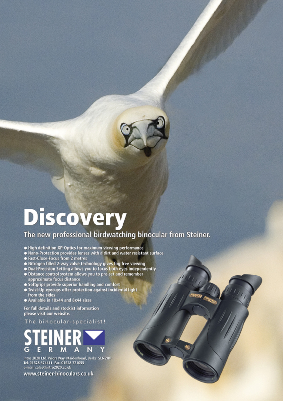 Birdwatch Magazine Preview Pages