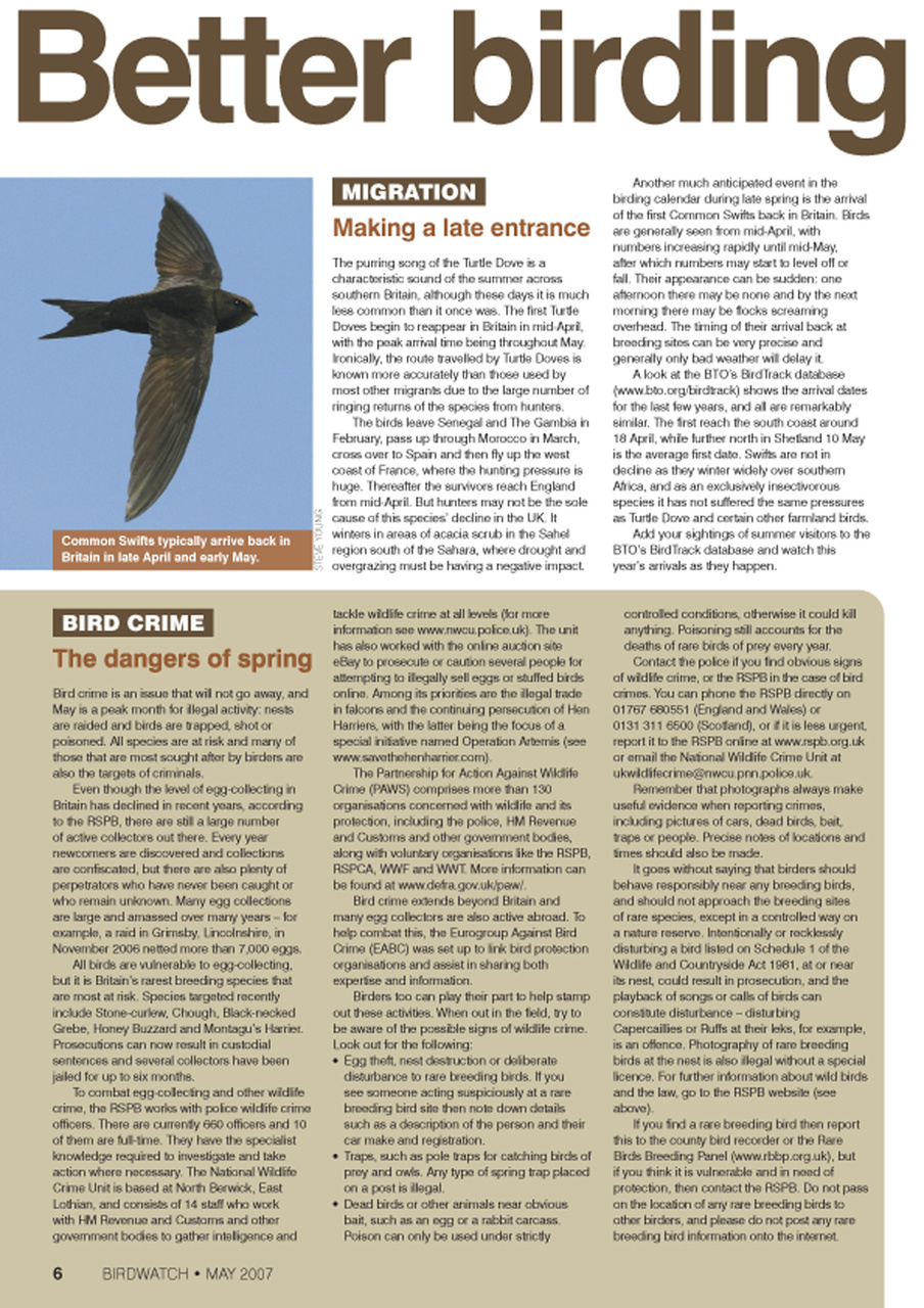 Birdwatch Magazine Preview Pages
