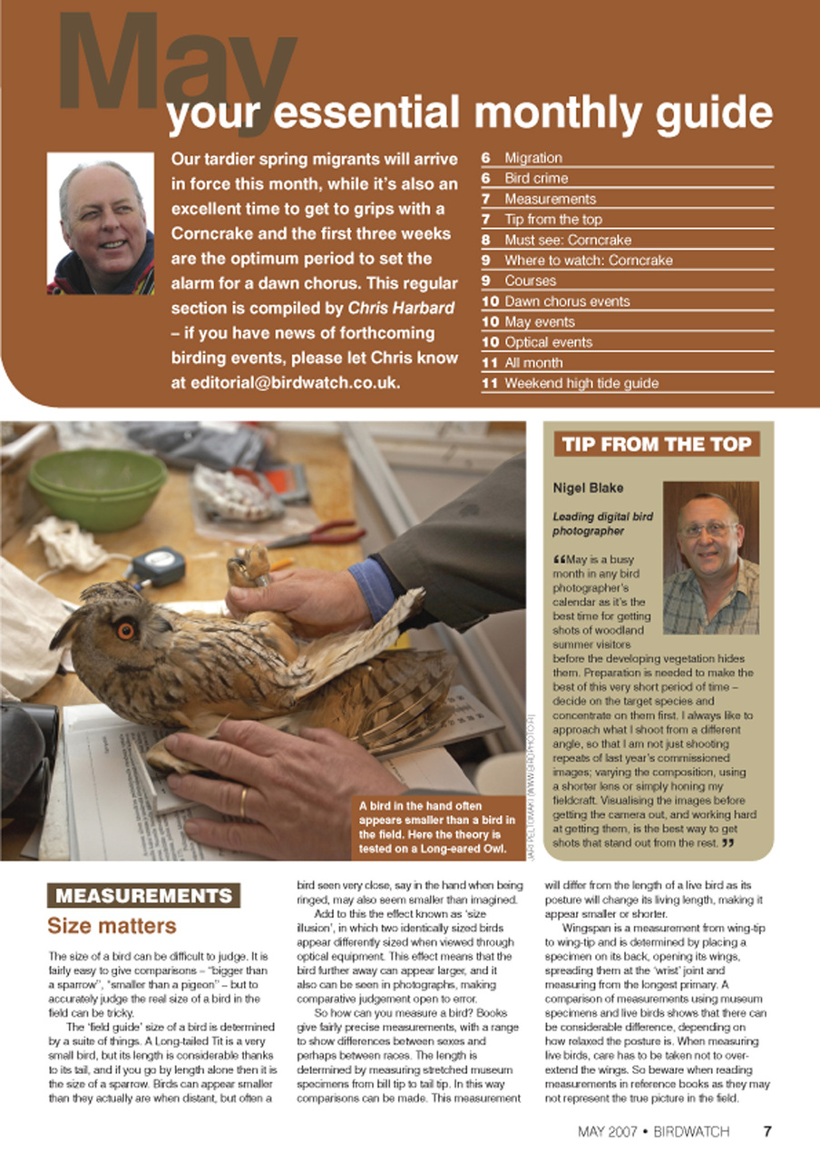Birdwatch Magazine Preview Pages