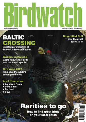 Birdwatch Magazine issue April 2007