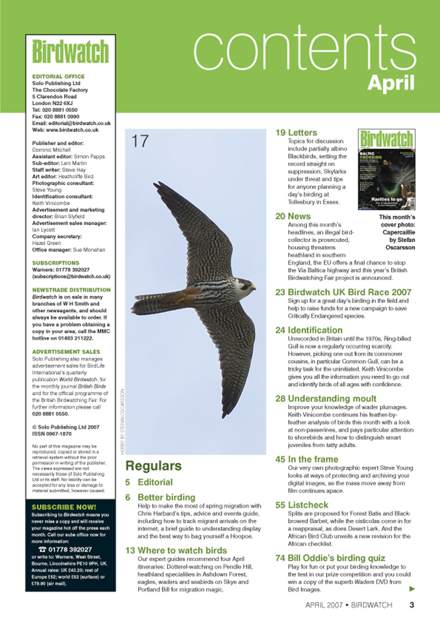 Birdwatch Magazine Preview Pages