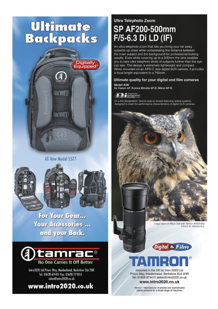 Birdwatch Magazine Preview Pages