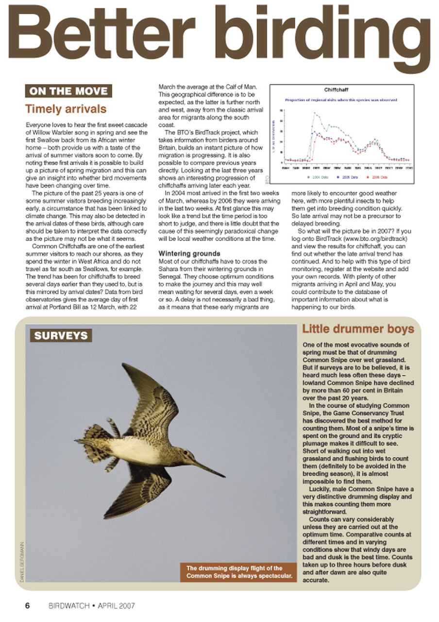 Birdwatch Magazine Preview Pages