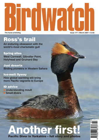 Birdwatch Magazine issue March 2007