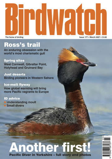 Birdwatch Magazine issue 