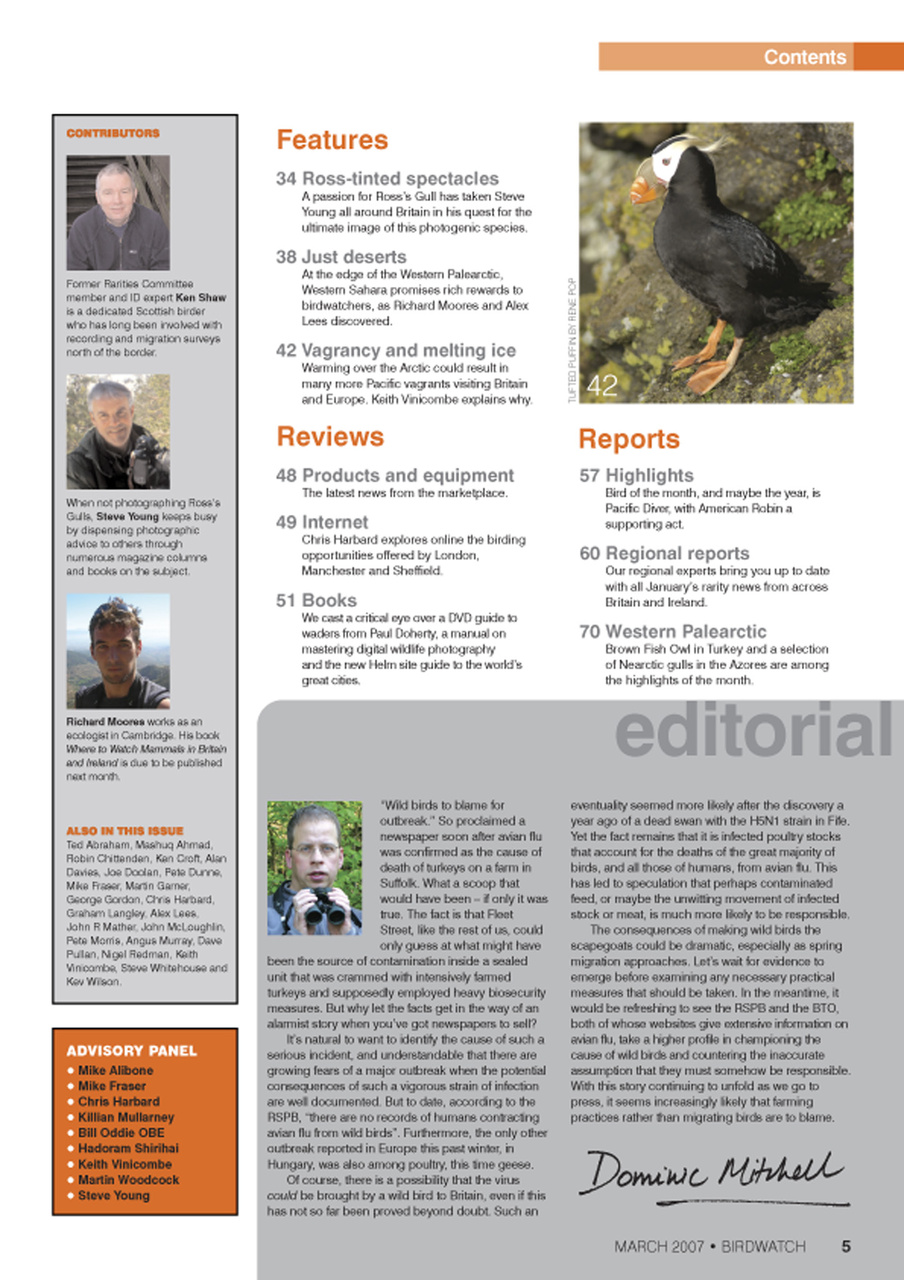 Birdwatch Magazine Preview Pages