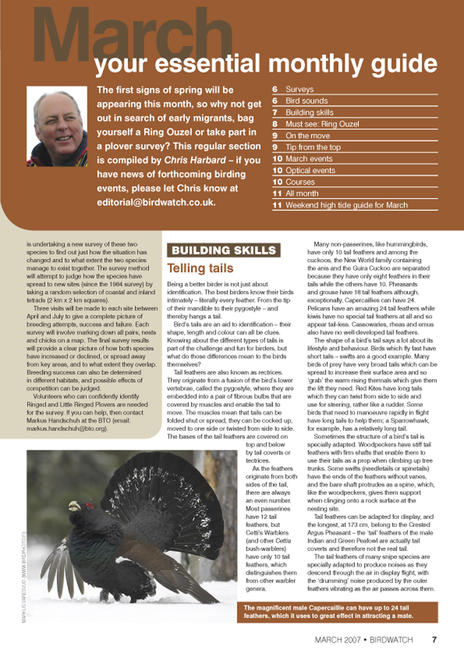 Birdwatch Magazine Preview Pages