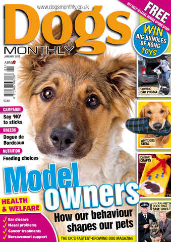 Dogs Monthly issue January 2012