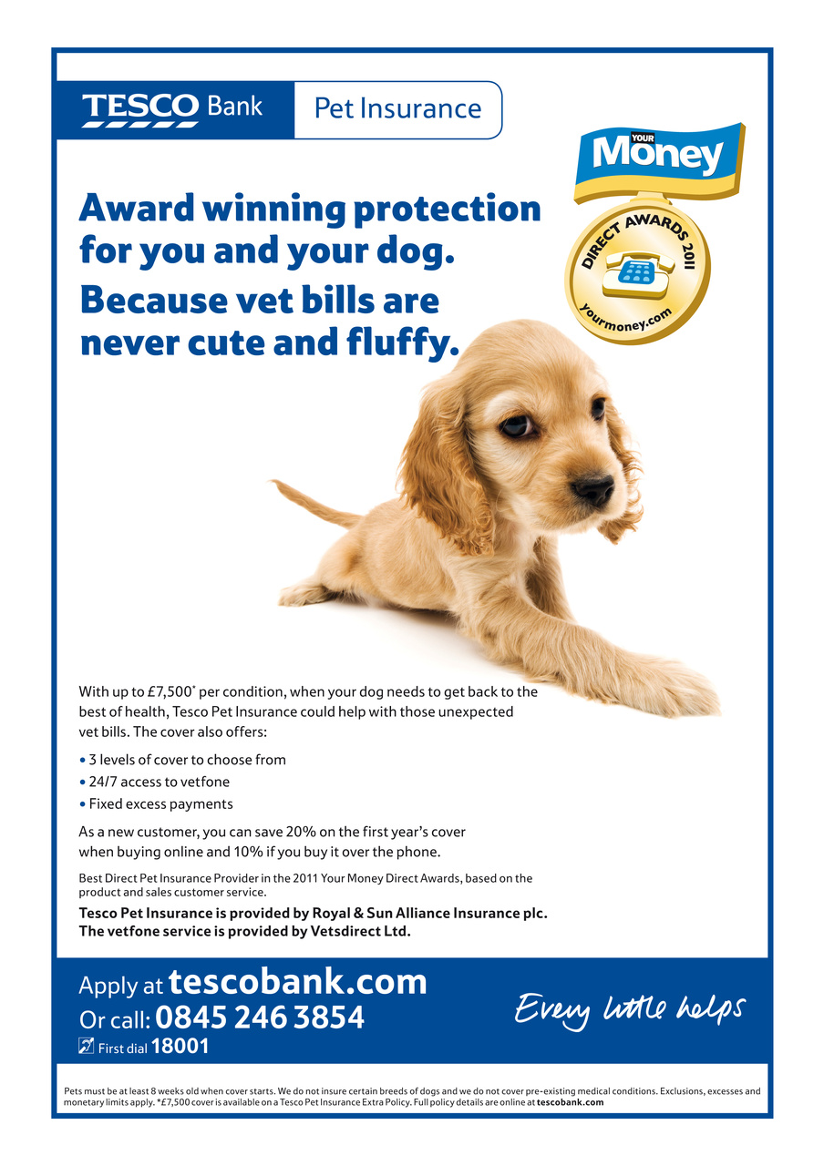 Dogs Monthly Preview Pages