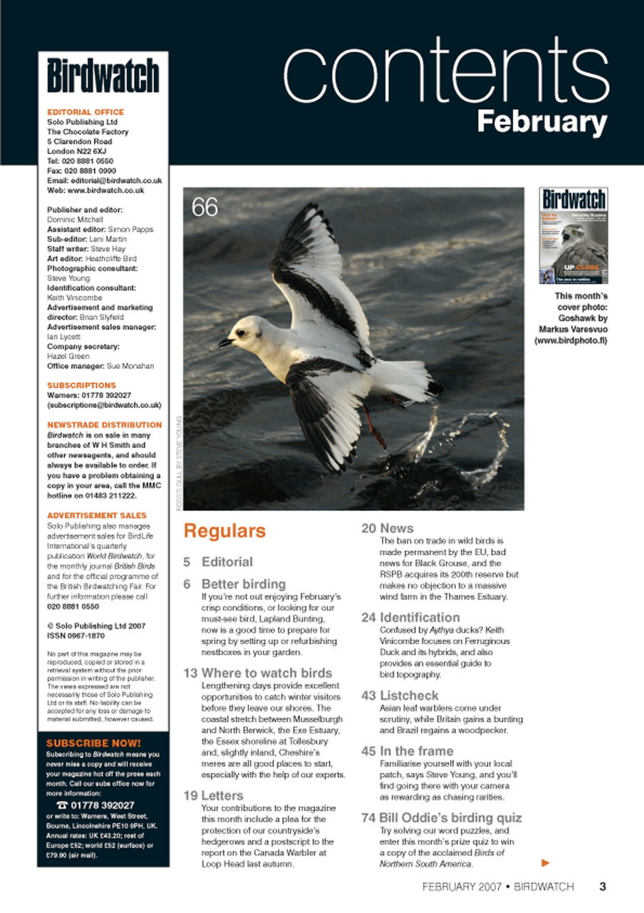 Birdwatch Magazine Preview Pages