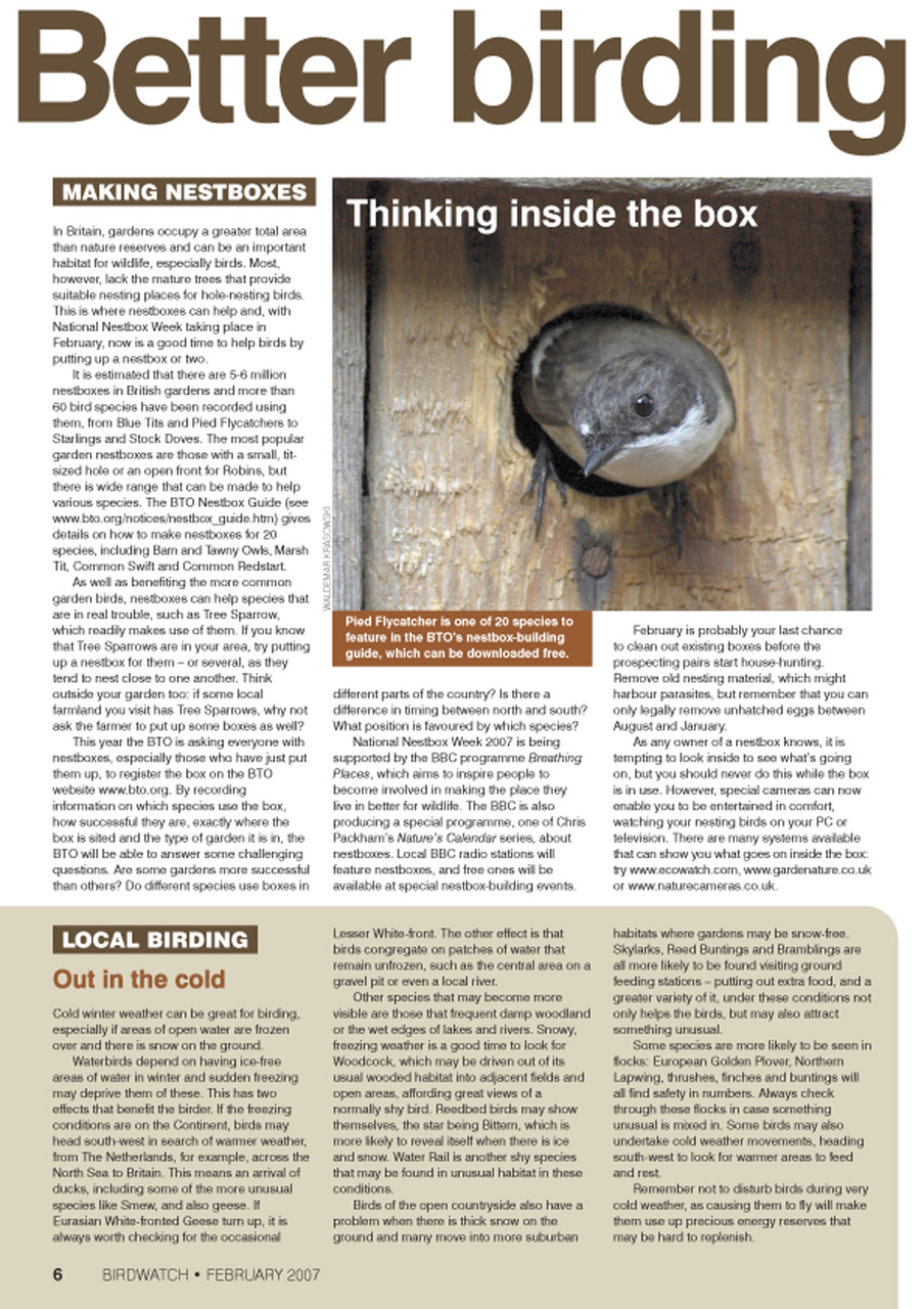 Birdwatch Magazine Preview Pages
