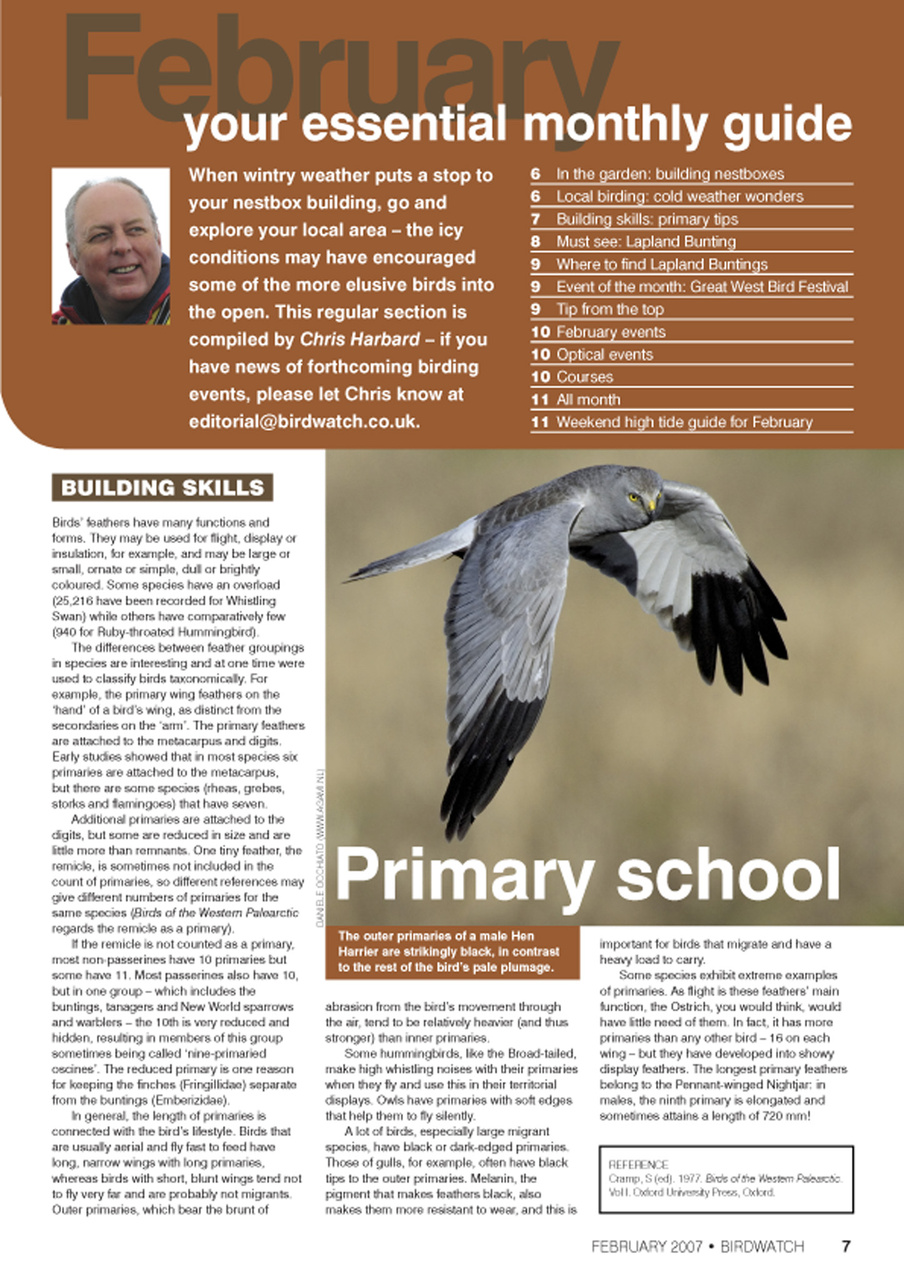 Birdwatch Magazine Preview Pages