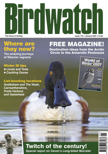 Birdwatch Magazine issue 