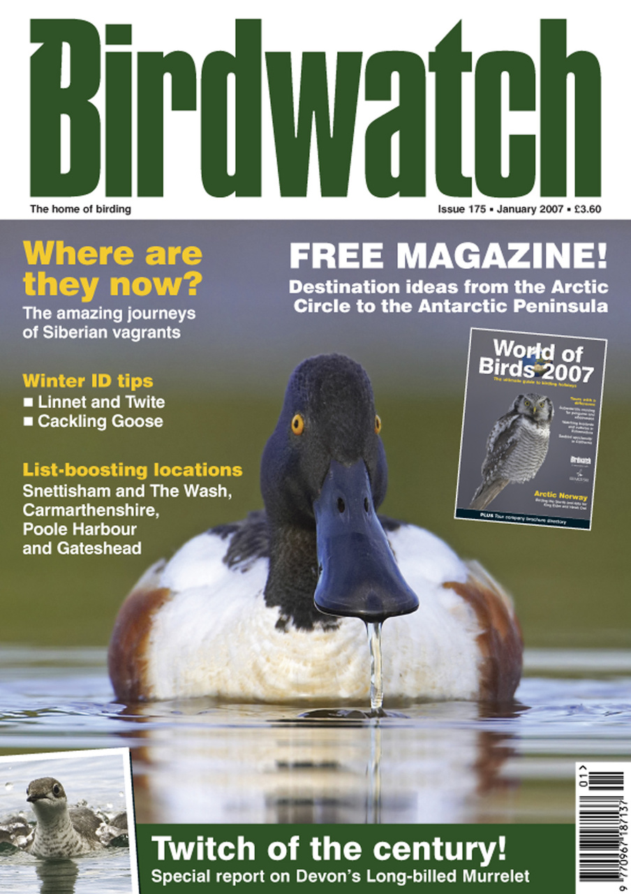 Birdwatch Magazine Preview Pages