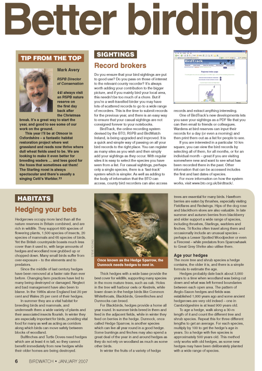 Birdwatch Magazine Preview Pages