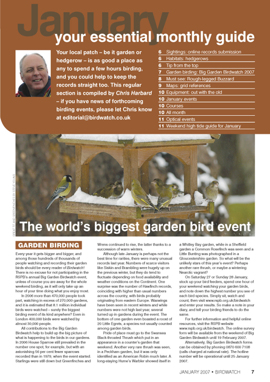 Birdwatch Magazine Preview Pages